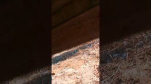 дом из контейнеров , швеллера по крыше и полу