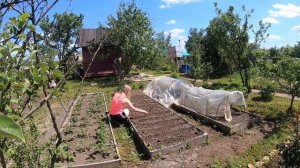 ДАЧА 12 ИЮНЯ 2022 |  ИРИСЫ,КРЫЖОВНИК И ЕЖЕВИКА #дача  #влог  #обзор #огород