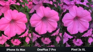 OnePlus 7 Pro vs Pixel 3a XL vs iPhone XS Max | Camera Test