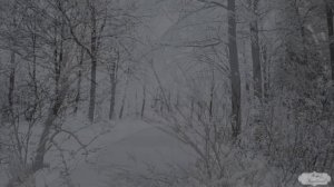 Небеса обетованные