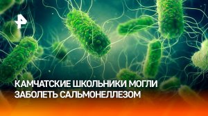 На Камчатке 11 школьников попали в больницу с симптомами кишечной инфекции / РЕН