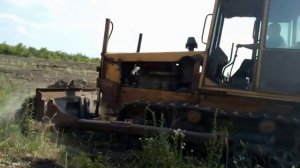 Бульдозер ДТ 75 ровняет после корчёвки