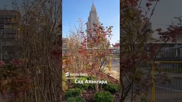Сад авангард реализован