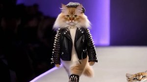 квадроберы