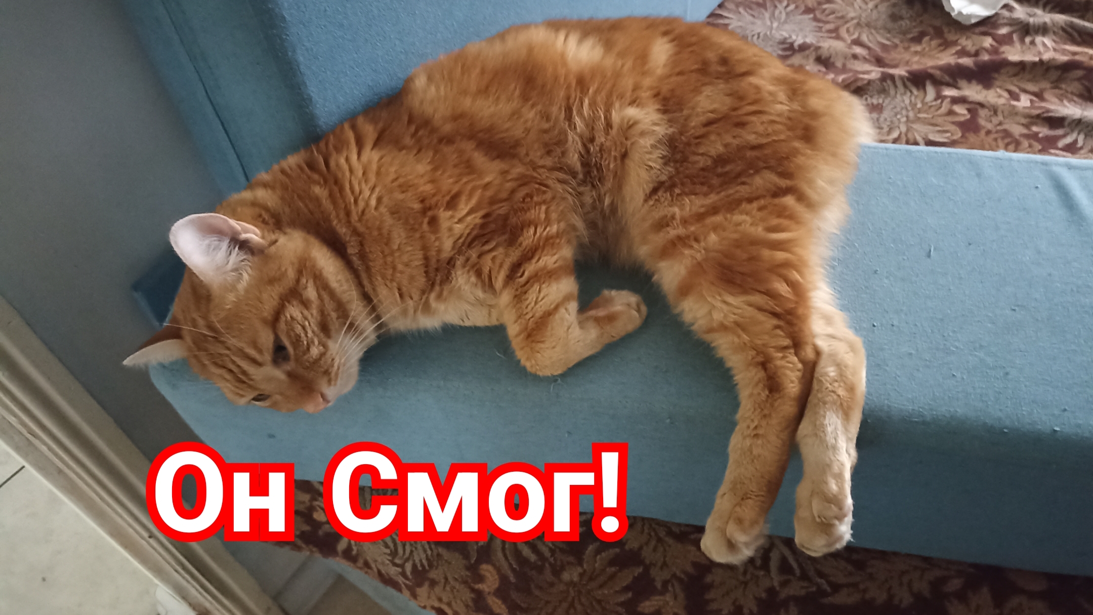 Он смог!