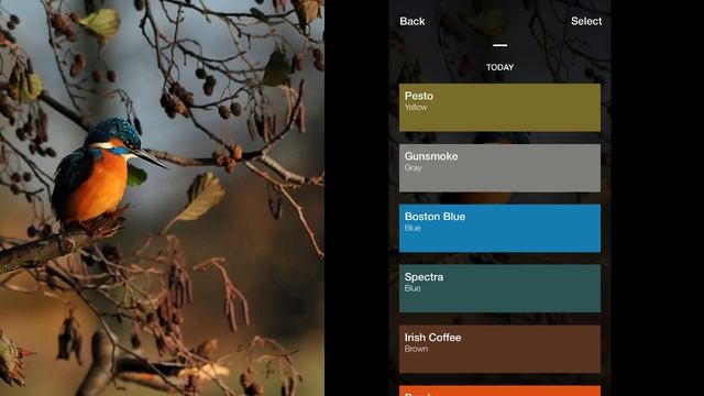 Terrific new Swatches - Live Color Picker for iPhone