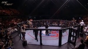 НЕОБЫЧНЫЕ МОМЕНТЫ БОЙЦОВ MMA