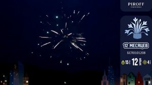 Салют 12 месяцев БСП0101208 PIROFF