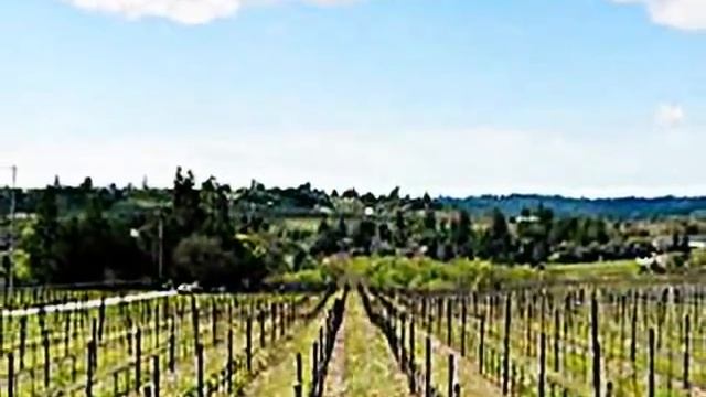 Why Sebastopol? By Progressive Source Communications