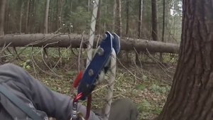 Копия видео спусковое устройство stop