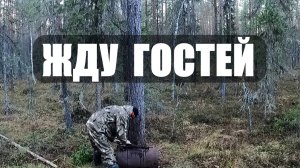 Отвёз потроха на приваду. Установил фотоловушку BG-310. Ждем гостей.