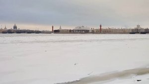 26 ноября 2023 г.