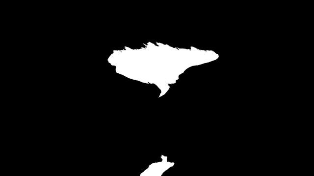 Патологонавт