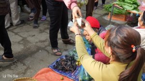 Harvesting the apple garden, outhouse door, Cooking lunch - Hello 2024 l Lý Thị Sai