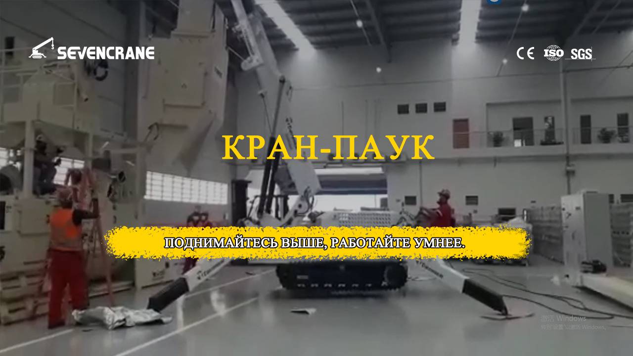 Отзывы клиентов о бразильском кране-пауке