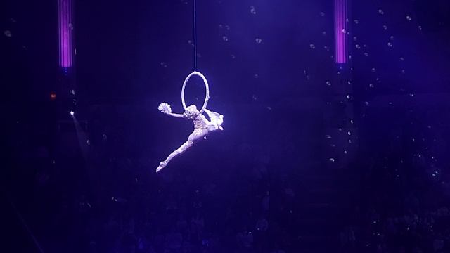 Девочка и голуби