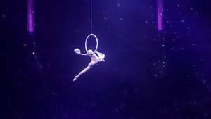 Девочка и голуби