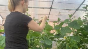 ДАЧА 1 ИЮЛЯ 2023 #дача #влог #обзор #vlog #декрет