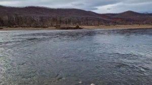 осень - лесозаводск,кавалерово,чугуевка.