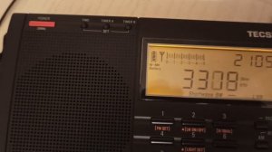 КВ антена на 14 МГц подключена к приёмнику Tecsun PL-660.Итог.