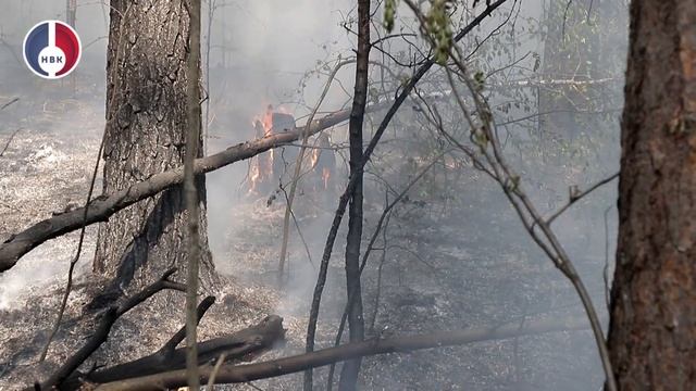 В Новоуральске горит лес. Пожар локализован смотреть онлайн