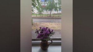Июльский дождь