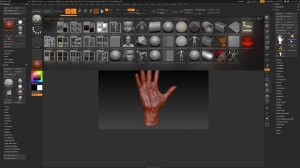 Курс для новичков от Maxon: Урок 8 из 27 Старт проекта в ZBRUSH