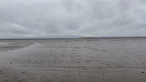 Звуки природы море