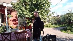 Счастливый взгляд