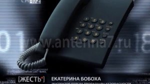 Жесть от 24.11.2014.