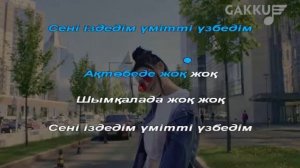 Ерке Есмахан - Қайда? (КАРАОКЕ 2019) + ТЕКСТ