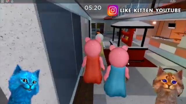 котёнок лайк играет в пиги