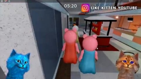 котёнок лайк играет в пиги