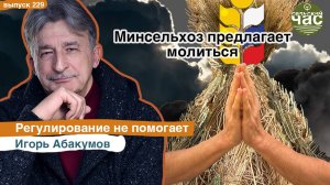 Минсельхоз предлагает молиться. Сельский час #229 (Игорь Абакумов)