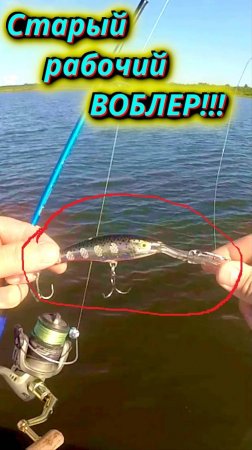 Старый рабочий Воблер на щуку RAPALA