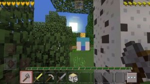 тыквоголовый длинноногий