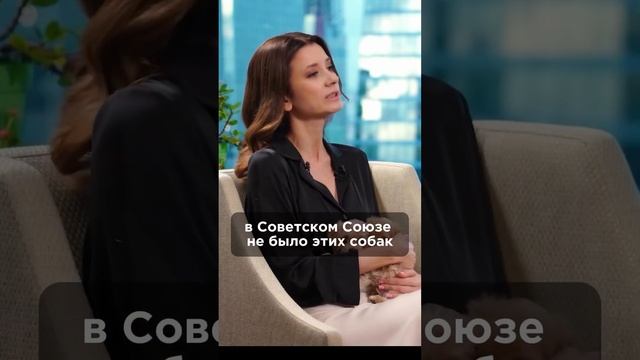 Щенки Мальтипу - комочек счастья. Смотрите полное интервью на канале. #зозуля #линаханни #мальтипу