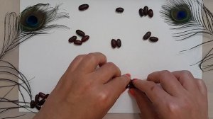 АСМР гадание на исполнение желания на фасоли (бобах). кумалак. Загадай желание