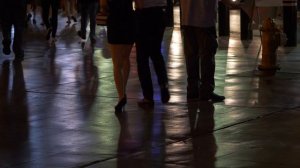 1535670-hd_1920_1080_24fps