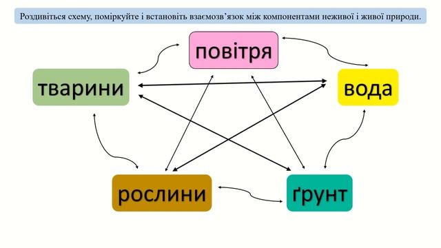 Урок 82. Що вивчає екологія? Я досліджую світ 3 клас