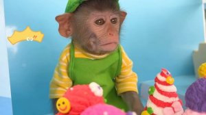 Monkey Baby Bon Bon eats watermelon ice cream and bathes with ducklings in the garden swimming pool