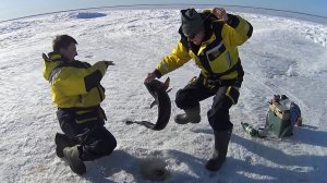 Зимняя рыбалка на Онежском озере | Налимы часть 2