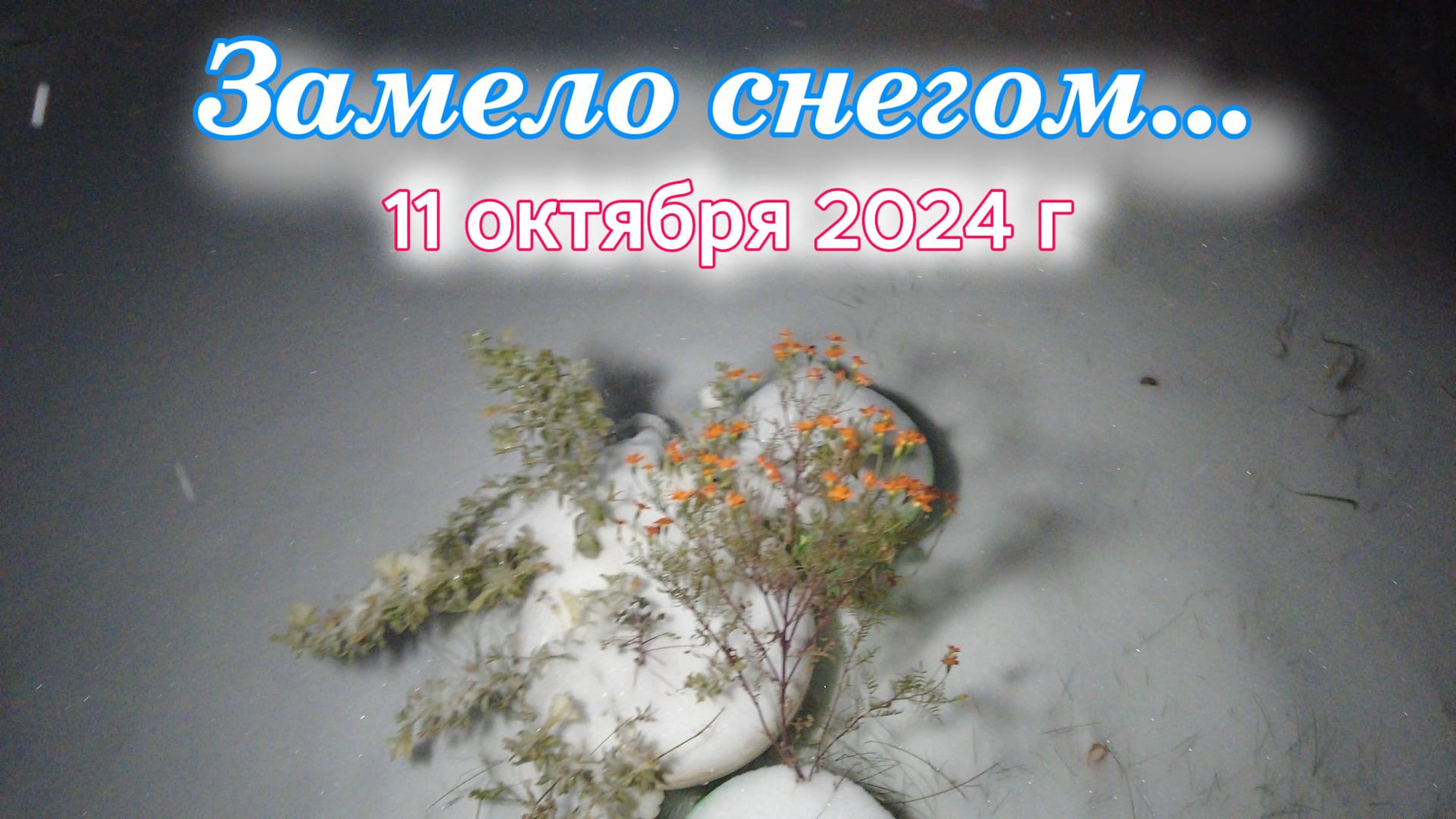 Нас завалило снегом 11 октября 2024 г