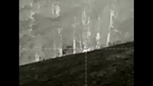 Еще одна интересная охота на шакала в Волгоградских степях. Прицел Iray Saim SCT 35 v2
