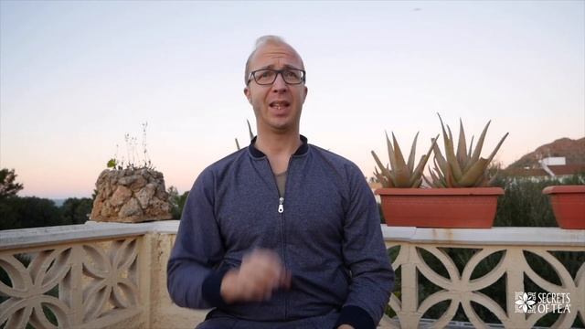 Get Pregnant Fertility Tea - Best tea To Boost Ovulation And Fertility смотреть онлайн