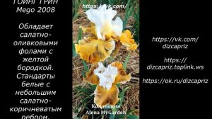 ИРИС GOING GREEN #ирисы #клематисы #лилейники