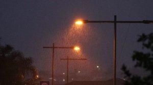 4323285-hd_1920_1080_30fps