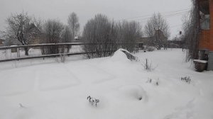 НА ДАЧУ В ДЕКАБРЕ 12.12.2021.#даче #дом #огород #дачныйвлог