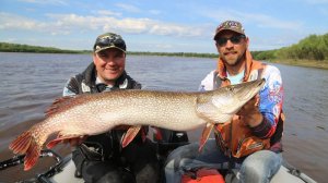 ЩУКА людоед наконец то поймана!