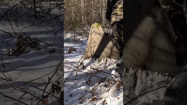 ДОЛБИТЕ ШУРА,ДОЛБИТЕ.Скоро полное видео.